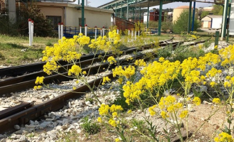 Arkema Saint Auban site